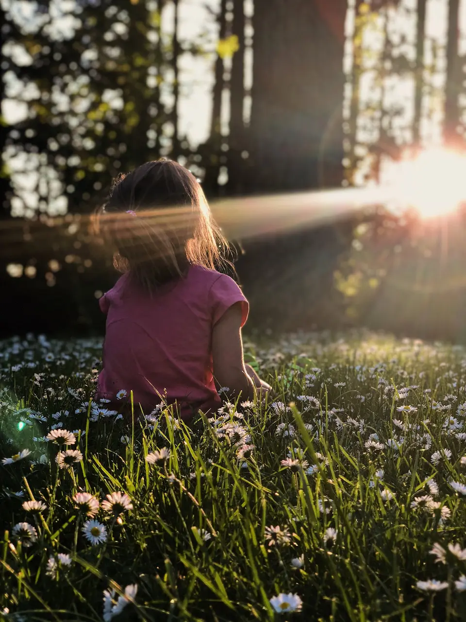 Kind sitzt im Gegenlicht in einer blühenden Wiese